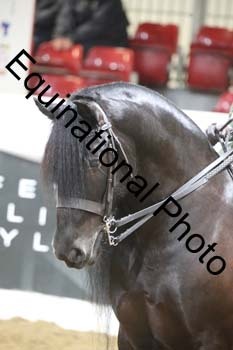 ALF-1627