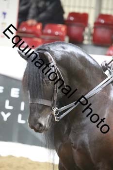 ALF-1628