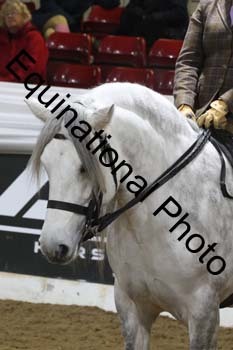 ALF-1634