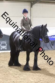 ALF-1641