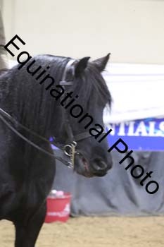 ALF-1643