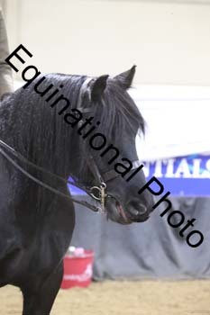 ALF-1644