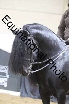 ALF-1662