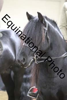 ALF-1670
