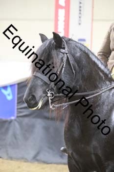 ALF-1678