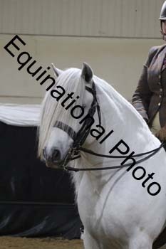 ALF-1695