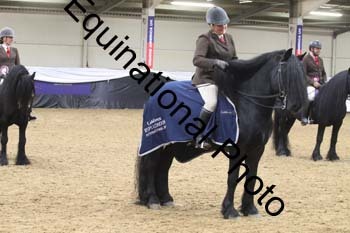 ALF-1773