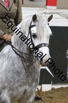 ALF-2000