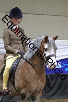 ALF-2003