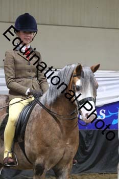 ALF-2004