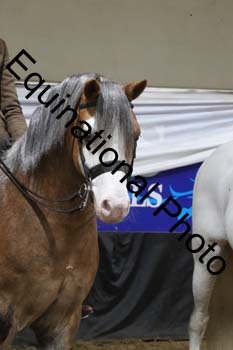 ALF-2005