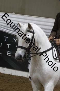 ALF-2010