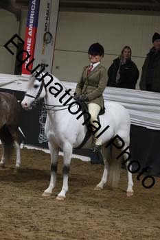 ALF-2013