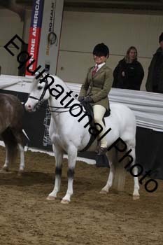 ALF-2014