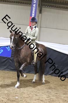 ALF-2019