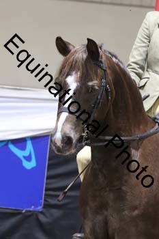 ALF-2023
