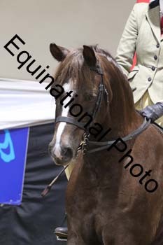 ALF-2024