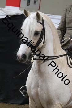 ALF-2033