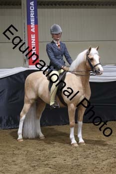 ALF-2036