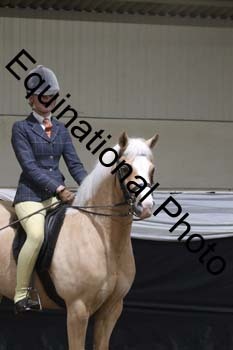 ALF-2040