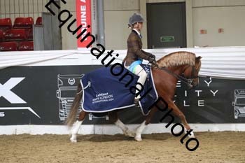 ALF-2076
