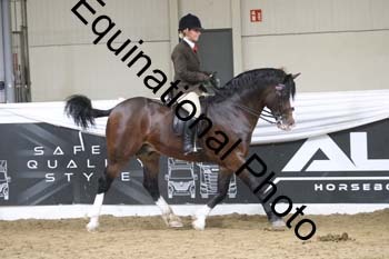ALF-2098