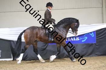 ALF-2101