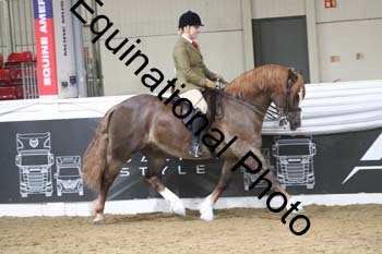 ALF-2103