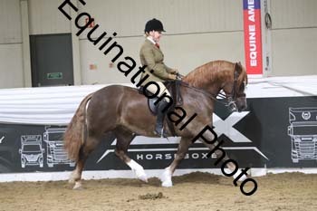 ALF-2104