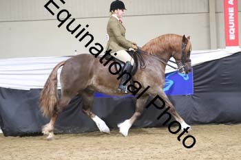 ALF-2106