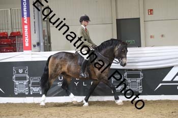 ALF-2107