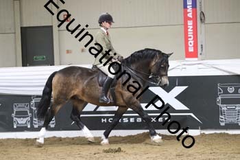 ALF-2108