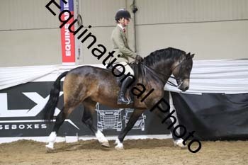 ALF-2109