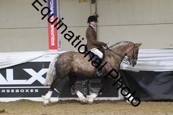 ALF-2117