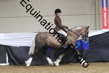 ALF-2118