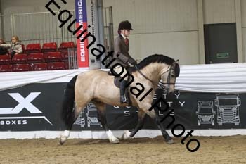 ALF-2123