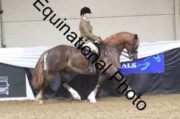 ALF-2143