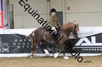ALF-2178