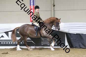 ALF-2179