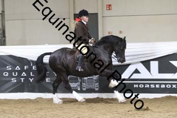 ALF-2189