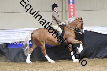 ALF-2194