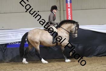 ALF-2196