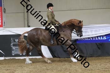 ALF-2201