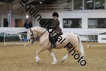 ALF-2234