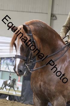 ALF-2239
