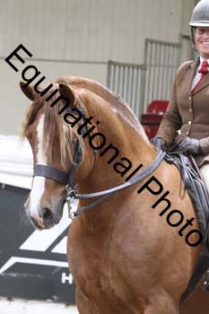 ALF-2247