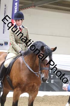 ALF-2256