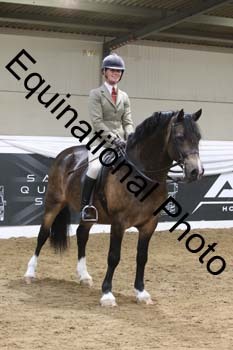 ALF-2258