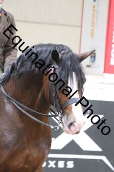 ALF-2266