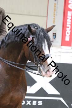 ALF-2267